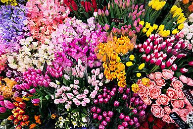 叙事解密冒险游戏《EQQO》Steam页面 5月17日发售